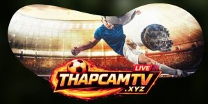 Tỷ Lệ Kèo Live - Sức Hút Mãnh Liệt Từ Những Con Số Biến Động