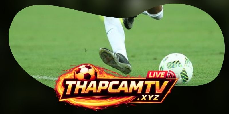 Các dữ liệu quyết định cửa hattrick đáng theo