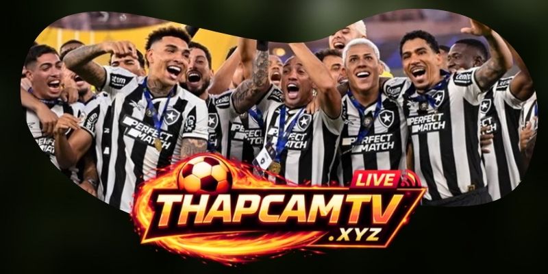 Tổng hợp dự đoán kèo trận Botafogo SP vs CRB (AL) ngày 01/07