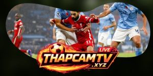 Kèo Vào Tứ Kết: Đọc Nhánh Đấu Và Odds Hôm Nay