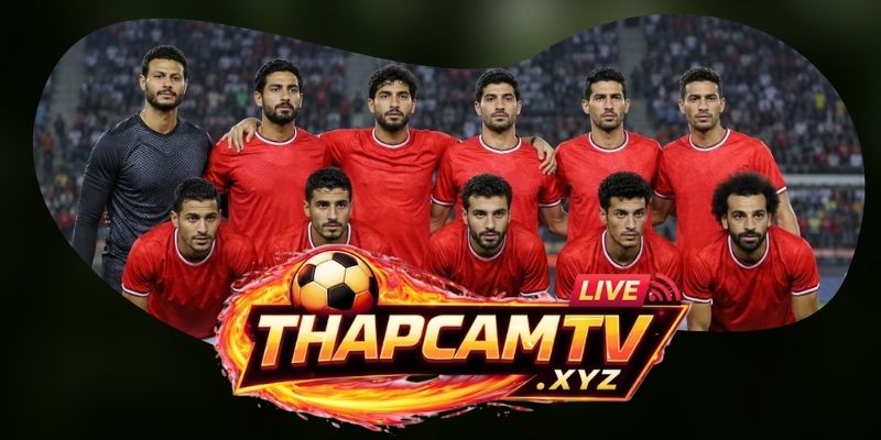 Tổng hợp dự đoán kèo trận Úc vs Ai Cập ngày 04/07