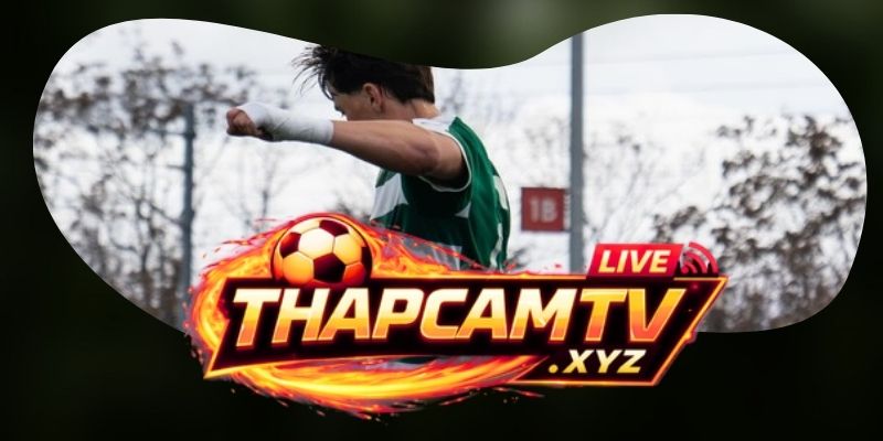 Dự Đoán Trận Viseu Vs Santa Clara 00h00 16/08